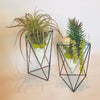 Modern Glass Vases, Set of 2 - Centered, Inc.