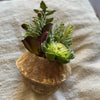 Buddha Pod w/ faux succulents - Centered, Inc.