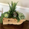 Driftwood Trough with Faux Succulents - Centered, Inc.
