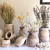 Preserved Botanicals Collection - Centered, Inc.